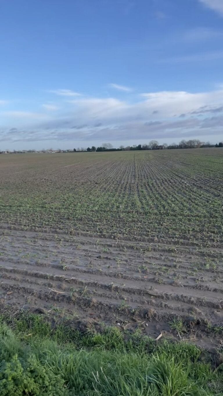 Gosberton