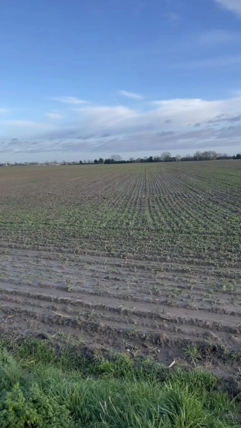 Gosberton